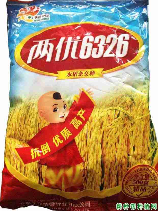 两优6326水稻品种好不好？